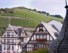 Meeting 2 - Assmannshausen