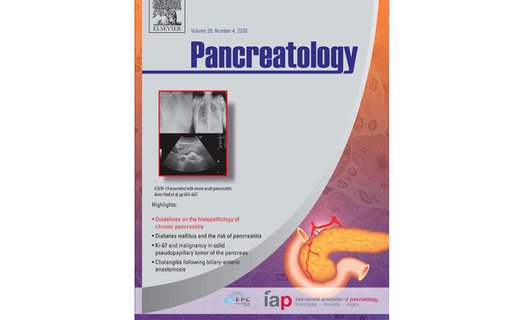 EPC Journal Pancreatology